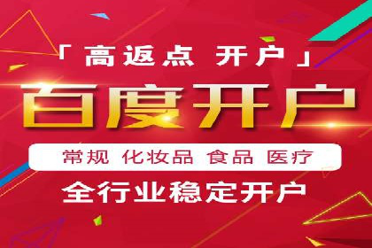 SEM代理服务：提升广告投放效果
